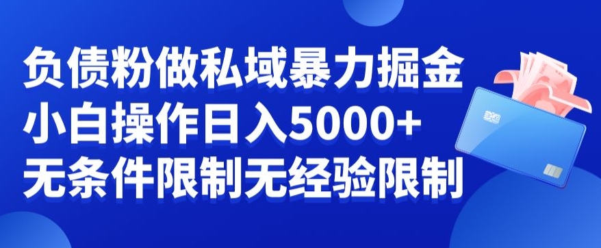 负债粉私域暴力掘金，小白操作入5000，无经验限制，无条件限制网赚项目-副业赚钱-互联网创业-资源整合八方网创