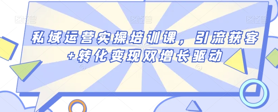 私域运营实操培训课，引流获客+转化变现双增长驱动网赚项目-副业赚钱-互联网创业-资源整合八方网创