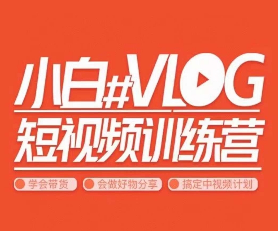 小呆说视–小白VLOG短视频训练营，学会带货、好物、直播、中视频网赚项目-副业赚钱-互联网创业-资源整合八方网创