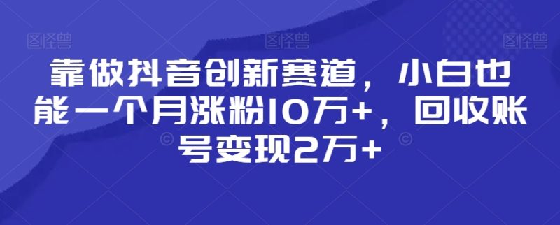 靠做抖音创新赛道，小白也能一个月涨粉10万+，回收账号变现2万+网赚项目-副业赚钱-互联网创业-资源整合八方网创