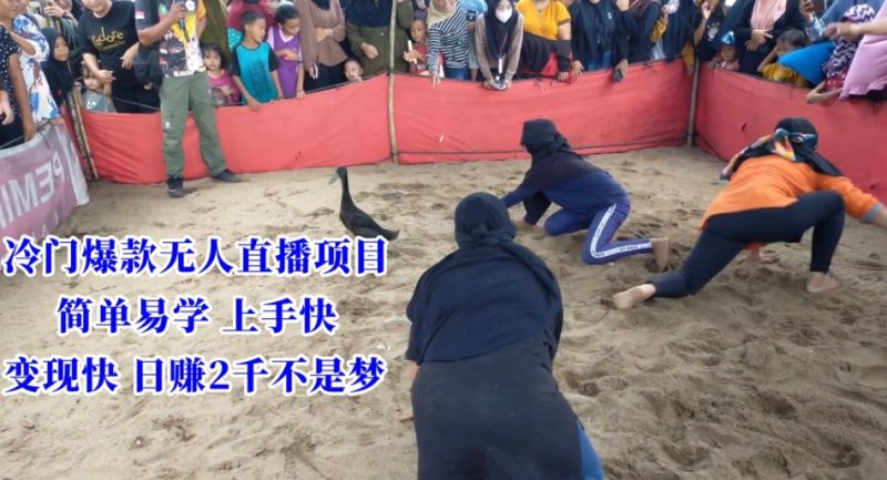 冷门爆款无人直播项目，简单易学上手快，变现快日赚2千不是梦网赚项目-副业赚钱-互联网创业-资源整合八方网创