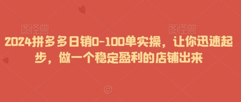 2024拼多多日销0-100单实操,让你迅速起步,做一个稳定盈利的店铺出来网赚项目-副业赚钱-互联网创业-资源整合八方网创