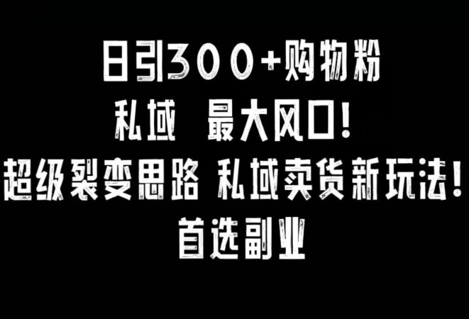 日引300+购物粉，超级裂变思路，私域卖货新玩法，小红书首选副业网赚项目-副业赚钱-互联网创业-资源整合八方网创