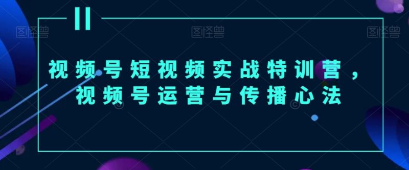 视频号短视频实战特训营，视频号运营与传播心法网赚项目-副业赚钱-互联网创业-资源整合八方网创
