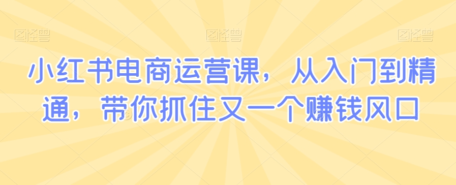 小红书电商运营课，从入门到精通，带你抓住又一个赚钱风口网赚项目-副业赚钱-互联网创业-资源整合八方网创