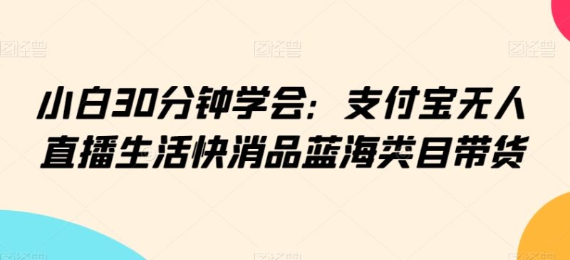 小白30分钟学会：支付宝无人直播生活快消品蓝海类目带货网赚项目-副业赚钱-互联网创业-资源整合八方网创