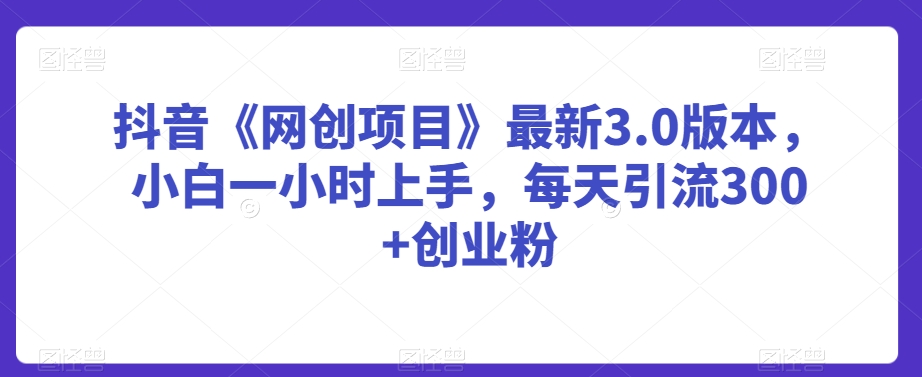 抖音《网创项目》最新3.0版本，小白一小时上手，每天引流300+创业粉网赚项目-副业赚钱-互联网创业-资源整合八方网创