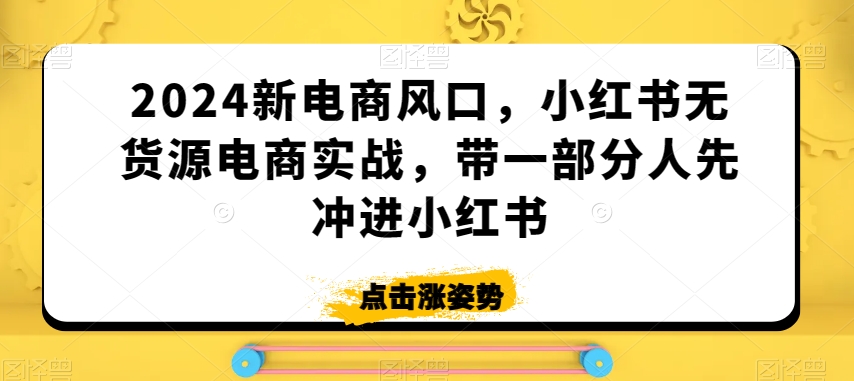2024新电商风口，小红书无货源电商实战，带一部分人先冲进小红书网赚项目-副业赚钱-互联网创业-资源整合八方网创