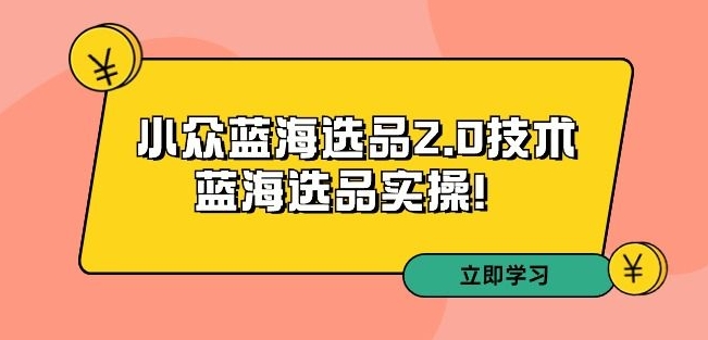 拼多多培训第33期：小众蓝海选品2.0技术-蓝海选品实操！网赚项目-副业赚钱-互联网创业-资源整合八方网创