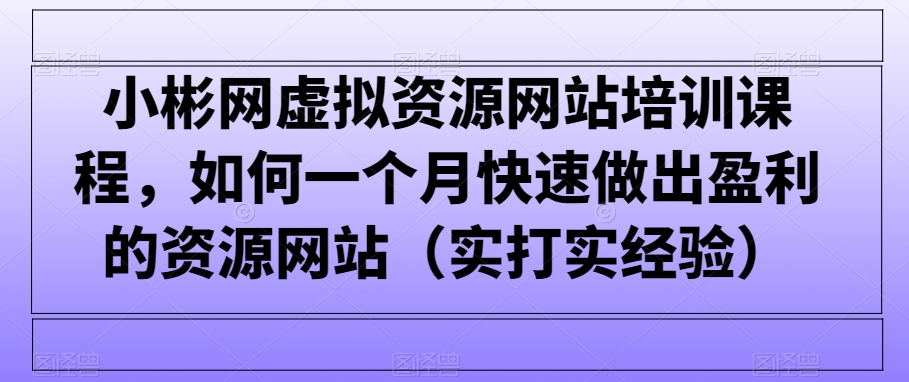 小彬网虚拟资源网站培训课程，如何一个月快速做出盈利的资源网站（实打实经验）网赚项目-副业赚钱-互联网创业-资源整合八方网创
