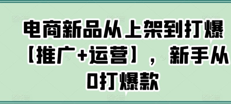 电商新品从上架到打爆【推广+运营】，新手从0打爆款网赚项目-副业赚钱-互联网创业-资源整合八方网创