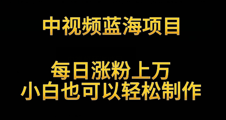 中视频蓝海项目，解读英雄人物生平，每日涨粉上万，小白也可以轻松制作，月入过万不是梦网赚项目-副业赚钱-互联网创业-资源整合八方网创