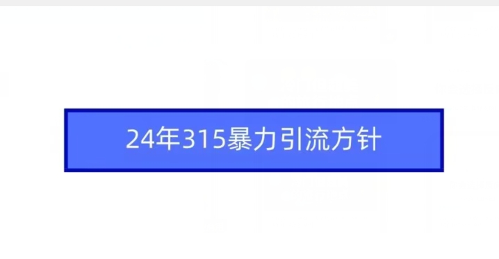 24年315暴力引流方针网赚项目-副业赚钱-互联网创业-资源整合八方网创