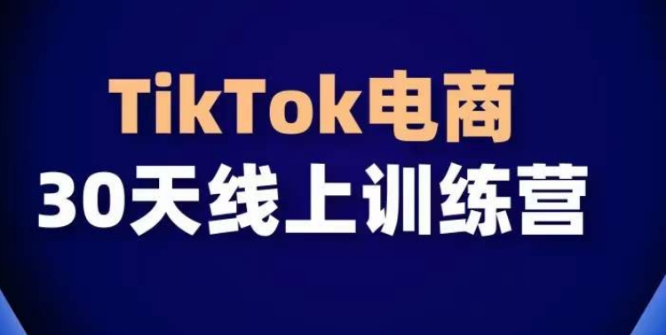 TikTok电商带货30天线上课，不可错过的全球流量洼地！网赚项目-副业赚钱-互联网创业-资源整合八方网创