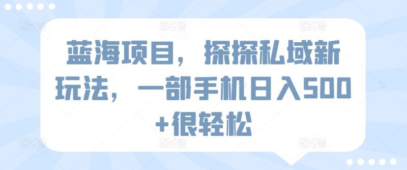蓝海项目,探探私域新玩法,一部手机日入500+很轻松网赚项目-副业赚钱-互联网创业-资源整合八方网创