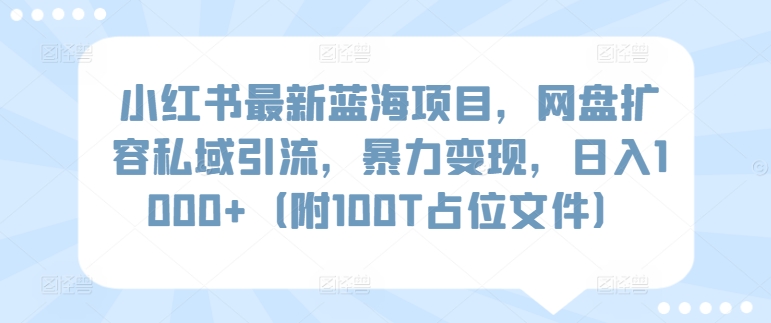 小红书最新蓝海项目，网盘扩容私域引流，暴力变现，日入1000+（附100T占位文件）网赚项目-副业赚钱-互联网创业-资源整合八方网创