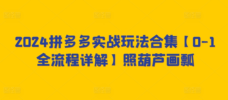 2024拼多多实战玩法合集【0-1全流程详解】照葫芦画瓢网赚项目-副业赚钱-互联网创业-资源整合八方网创