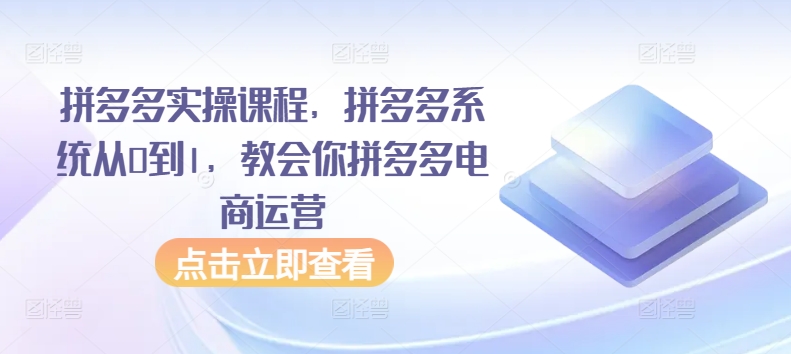 拼多多实操课程，拼多多系统从0到1，教会你拼多多电商运营网赚项目-副业赚钱-互联网创业-资源整合八方网创