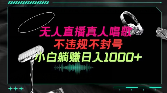 抖音24小时无人直播音乐，不违规，不封号纯撸音浪，小白实操当天日入1000+网赚项目-副业赚钱-互联网创业-资源整合八方网创