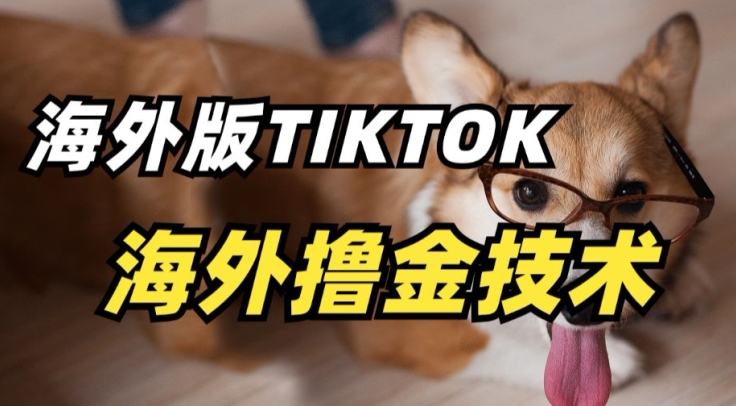 抖音海外版tiktok撸金技术，这个风口行业，赚钱真的不难网赚项目-副业赚钱-互联网创业-资源整合八方网创