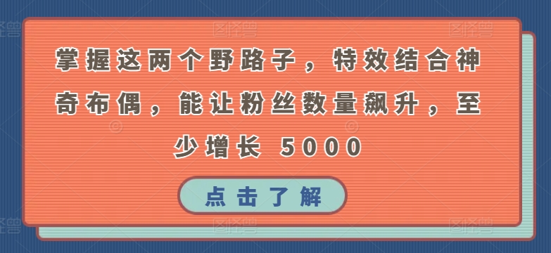 掌握这两个野路子，特效结合神奇布偶，能让粉丝数量飙升，至少增长 5000网赚项目-副业赚钱-互联网创业-资源整合八方网创