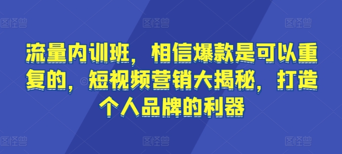 流量内训班，相信爆款是可以重复的，短视频营销大揭秘，打造个人品牌的利器网赚项目-副业赚钱-互联网创业-资源整合八方网创