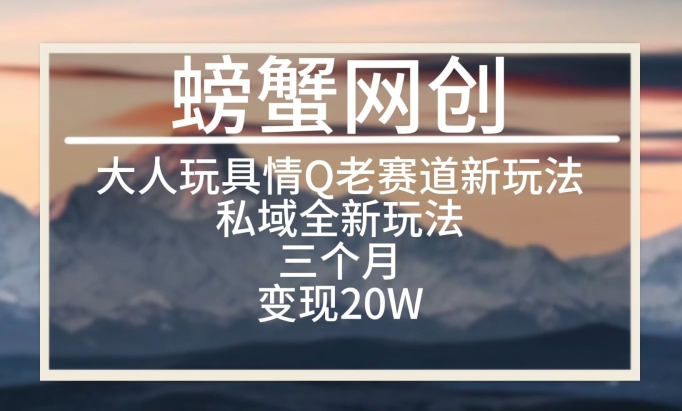 大人玩具情Q用品赛道私域全新玩法，三个月变现20W，老项目新思路网赚项目-副业赚钱-互联网创业-资源整合八方网创