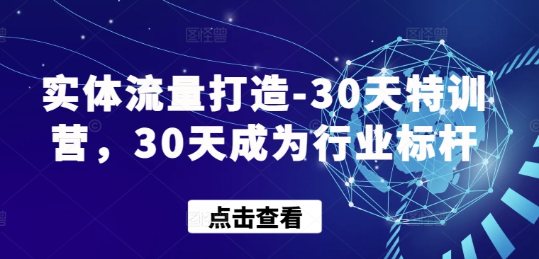实体流量打造-30天特训营，30天成为行业标杆网赚项目-副业赚钱-互联网创业-资源整合八方网创