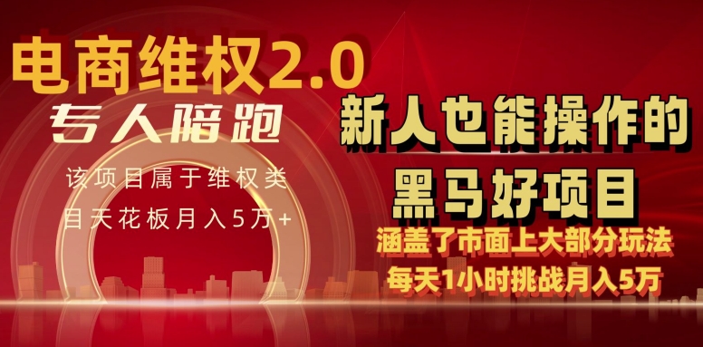 电商维权 4.0 如何做到月入 5 万+每天 1 小时新人也能快速上手【仅揭秘】网赚项目-副业赚钱-互联网创业-资源整合八方网创
