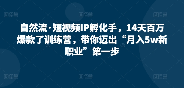 自然流·短视频IP孵化手，14天百万爆款了训练营，带你迈出“月入5w新职业”第一步网赚项目-副业赚钱-互联网创业-资源整合八方网创