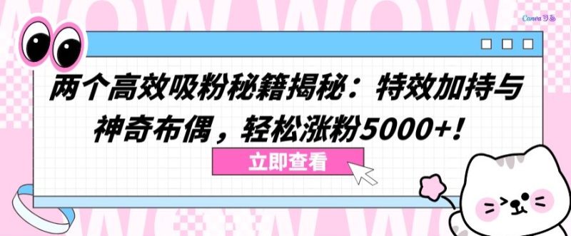 两个高效吸粉秘籍揭秘：特效加持与神奇布偶，轻松涨粉5000+网赚项目-副业赚钱-互联网创业-资源整合八方网创