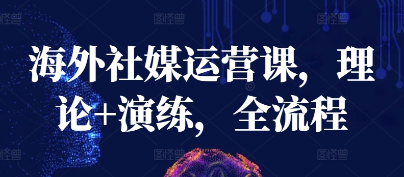 海外社媒运营课，理论+演练，全流程网赚项目-副业赚钱-互联网创业-资源整合八方网创