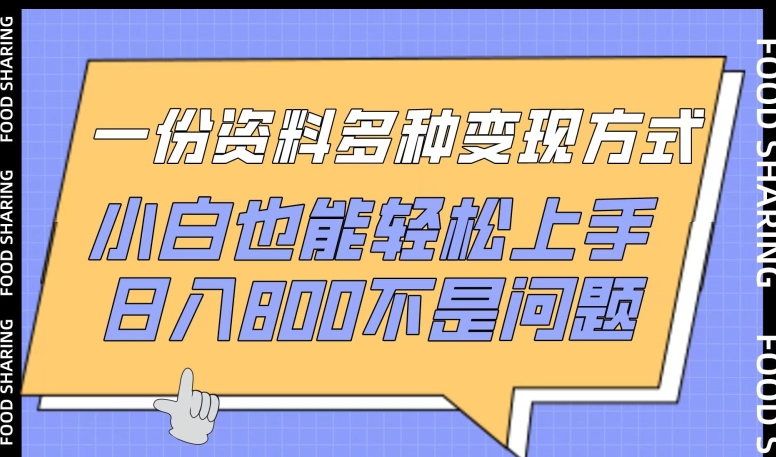 一份资料多种变现方式，小白也能轻松上手，日入800不是问题网赚项目-副业赚钱-互联网创业-资源整合八方网创