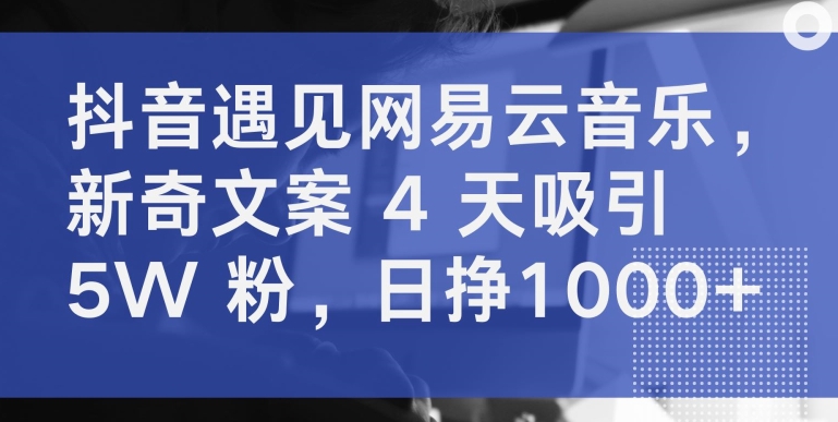 抖音遇见网易云音乐，新奇文案 4 天吸引 5W 粉，日挣1000+网赚项目-副业赚钱-互联网创业-资源整合八方网创