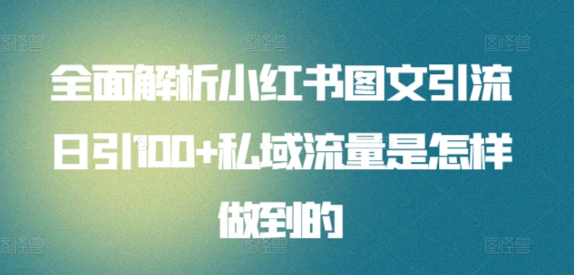 全面解析小红书图文引流日引100+私域流量是怎样做到的网赚项目-副业赚钱-互联网创业-资源整合八方网创