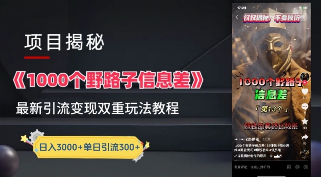 一千个野路子信息差最新玩法教程-变现+引流的玩法具体拆解网赚项目-副业赚钱-互联网创业-资源整合八方网创