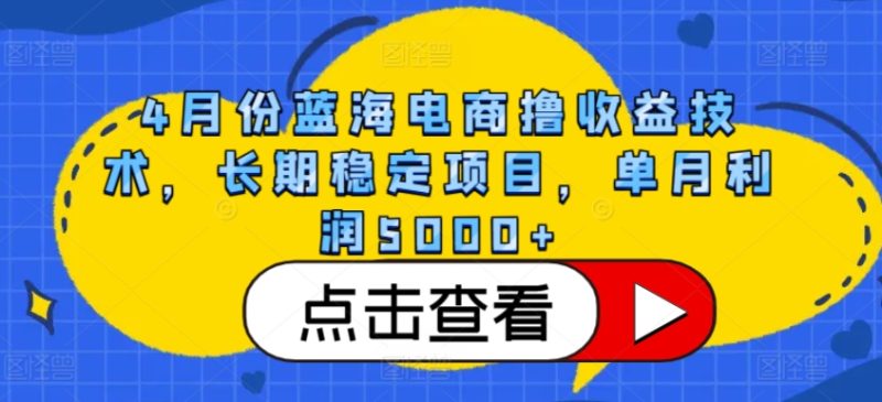 4月份蓝海电商撸收益技术，长期稳定项目，单月利润5000+网赚项目-副业赚钱-互联网创业-资源整合八方网创