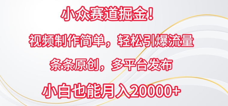 小众赛道掘金，视频制作简单，轻松引爆流量，条条原创，多平台发布网赚项目-副业赚钱-互联网创业-资源整合八方网创