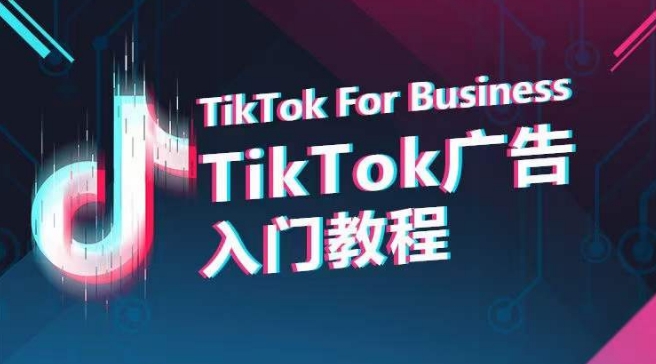 TikTok广告入门教程，从0到1掌握TikTok投放的全流程网赚项目-副业赚钱-互联网创业-资源整合八方网创