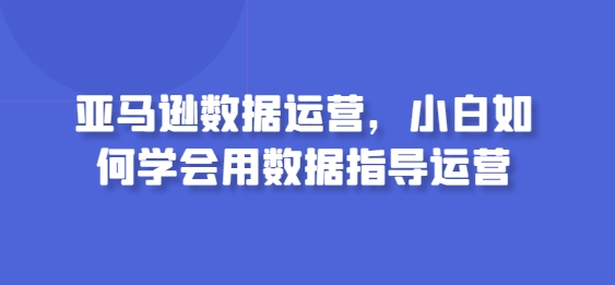 亚马逊数据运营，小白如何学会用数据指导运营网赚项目-副业赚钱-互联网创业-资源整合八方网创