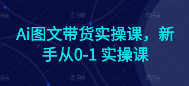 Ai图文带货实操课，新手从0-1 实操课网赚项目-副业赚钱-互联网创业-资源整合八方网创