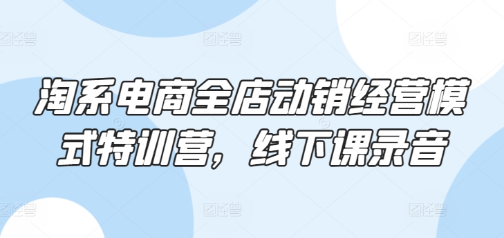 淘系电商全店动销经营模式特训营，线下课录音网赚项目-副业赚钱-互联网创业-资源整合八方网创