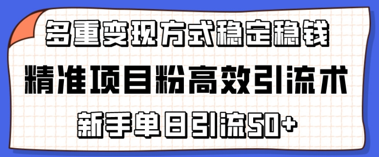 精准项目粉高效引流术，新手单日引流50+，多重变现方式稳定赚钱网赚项目-副业赚钱-互联网创业-资源整合八方网创