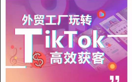 外贸工厂玩转TikTok高效获客，多种引流方式与账号定位技巧，拆解爆款短视频打造成功案例网赚项目-副业赚钱-互联网创业-资源整合八方网创
