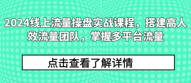 2024线上流量操盘实战课程，搭建高人效流量团队，掌握多平台流量网赚项目-副业赚钱-互联网创业-资源整合八方网创