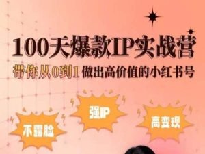 小红书100天爆款IP实战营，带你从0到1做出高价值的小红书号网赚项目-副业赚钱-互联网创业-资源整合八方网创