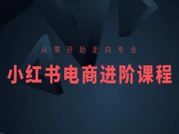 从零开始走向专业，小红书电商进阶课程网赚项目-副业赚钱-互联网创业-资源整合八方网创