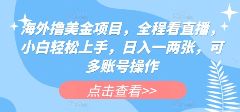 海外撸美金项目，全程看直播，小白轻松上手，日入一两张，可多账号操作网赚项目-副业赚钱-互联网创业-资源整合八方网创