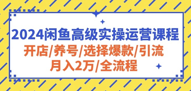 2024闲鱼高级实操运营课程：开店/养号/选择爆款/引流/月入2万/全流程网赚项目-副业赚钱-互联网创业-资源整合八方网创