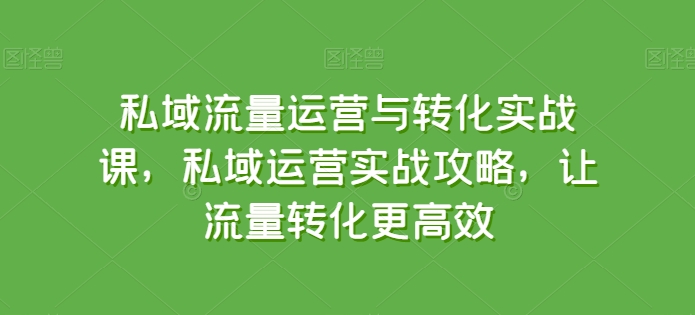 私域流量运营与转化实战课，私域运营实战攻略，让流量转化更高效网赚项目-副业赚钱-互联网创业-资源整合八方网创